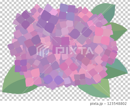 紫色の紫陽花のイラスト ベクター素材 紫色の紫陽花のイラスト ベクター素材 123548802