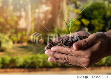 closeup hand of person holding abundance soil with young plant. Concept green world earth day closeup hand of person holding abundance soil with young plant. Concept green world earth day 123549003