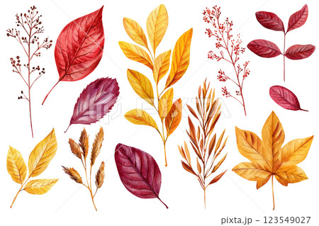 Hand painted watercolor foliage. Autumn season leaves, Branches fall color., Botanical nature clipart, Seasonal decor 123549027