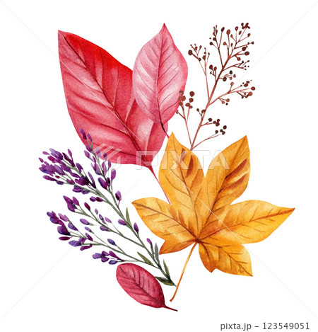 Watercolor dry leaves composition. Hand painted fall botanical illustration isolated. Autumn Foliage for Seasonal Design 123549051