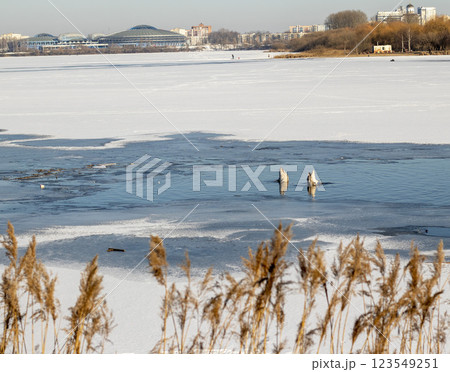 Swans on the frozen pond Swans on the frozen pond 123549251