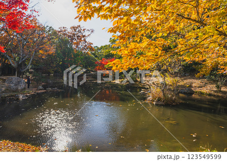浜松市にある秋の浜松城公園の紅葉の風景(静岡県) 浜松市にある秋の浜松城公園の紅葉の風景(静岡県) 123549599