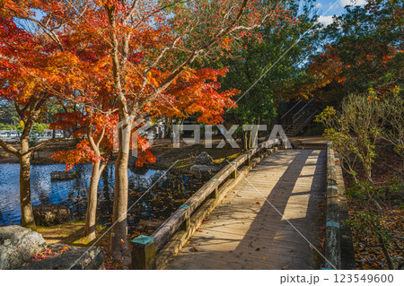 浜松市にある秋の浜松城公園の紅葉の風景(静岡県) 123549600