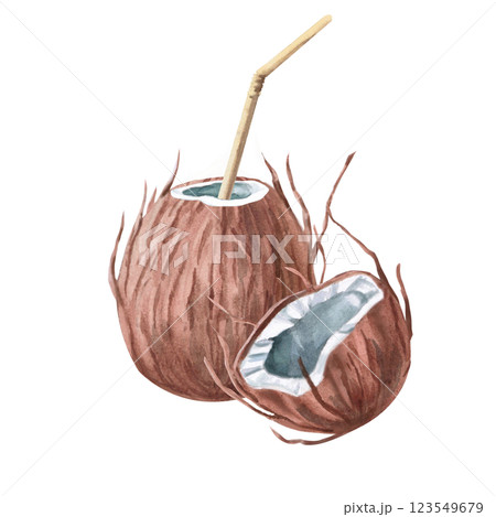 Composition of whole and half coconut. Isolated watercolor illustration of tropical theme for design of tourist brochures, sport shops, printing on postcards, clothes. 123549679