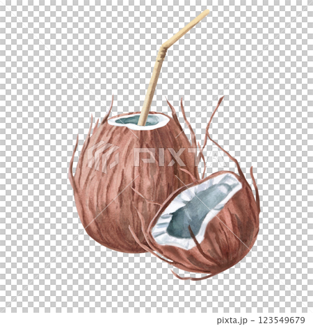 Composition of whole and half coconut. Isolated watercolor illustration of tropical theme for design of tourist brochures, sport shops, printing on postcards, clothes. 123549679