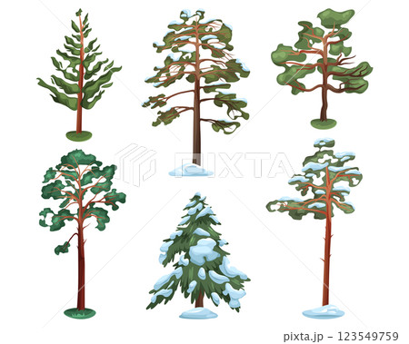 Set of vector coniferous tree isolated. Pine or fir, spruce or cedar. Evergreen nature symbol. Forestry and ecosystem, environment conservation. Icon collection for outdoor forest or wood. Flora. Set of vector coniferous tree isolated. Pine or fir, spruce or cedar. Evergreen nature symbol. Forestry and ecosystem, environment conservation. Icon collection for outdoor forest or wood. Flora. 123549759