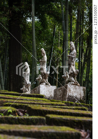 【庄内の風景】白狐山 光星寺 123550007