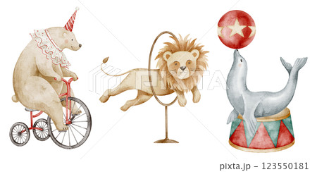 Watercolor illustration of Circus animals. Drawing of bear on a tricycle, a lion jumping through a hoop, and a seal balancing on a ball. Art for childish posters or Baby shower greeting cards. 123550181