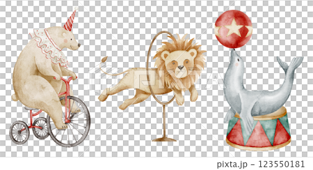 Watercolor illustration of Circus animals. Drawing of bear on a tricycle, a lion jumping through a hoop, and a seal balancing on a ball. Art for childish posters or Baby shower greeting cards. 123550181