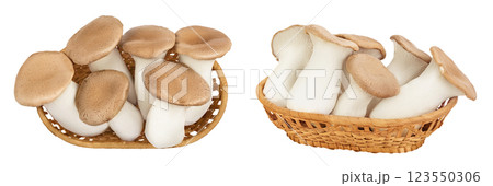 King Oyster mushroom or Eringi in wicker basket isolated on white background . Top view. Flat lay 123550306