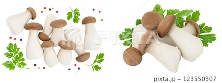 King Oyster mushroom or Eringi isolated on white background . Top view. Flat lay 123550307