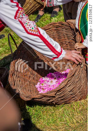 Traditional Bulgarian rose harvest with abstract people in folk costumes gathering pink rose petals in wicker basket. Cultural event celebrating famous Rose Valley festival Traditional Bulgarian rose harvest with abstract people in folk costumes gathering pink rose petals in wicker basket. Cultural event celebrating famous Rose Valley festival 123550617