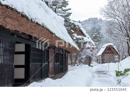 雪の白川郷 123551045