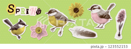 Spring Flowers, titmouse, feather halftone art collage cut outs set. Paper clipping shapes, spring floral stickers, torn paper. Modern retro grunge mixed media vector illustration Spring Flowers, titmouse, feather halftone art collage cut outs set. Paper clipping shapes, spring floral stickers, torn paper. Modern retro grunge mixed media vector illustration 123552153