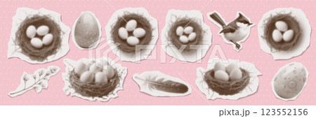 Nests with eggs torn out paper stickers set with halftone effect. Collage elements collection with cut out shapes - titmouse, feather, branch. Vector retro illustration. 123552156