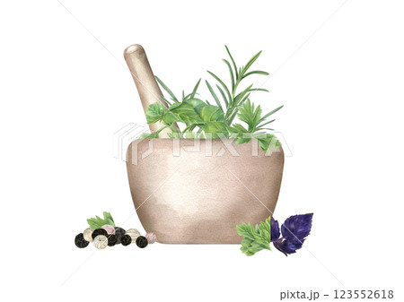 Watercolor stone mortar with pestle and seasoning, herbs, spice for making food illustration isolated on white. Fresh rosemary, parsley, oregano sprigs in granite bowl and black, white peppercorn. 123552618