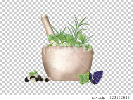 Watercolor stone mortar with pestle and seasoning, herbs, spice for making food illustration isolated on white. Fresh rosemary, parsley, oregano sprigs in granite bowl and black, white peppercorn. 123552618