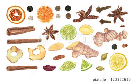 Mix of seasoning, spices and dried fruit slices set watercolor illustration. Cinnamon, cardamon, star anise, clove, peppercorn, raisin, ginger, orange, lime, lemon and apple clip art. For decor 123552619