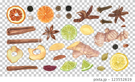 Mix of seasoning, spices and dried fruit slices set watercolor illustration. Cinnamon, cardamon, star anise, clove, peppercorn, raisin, ginger, orange, lime, lemon and apple clip art. For decor 123552619