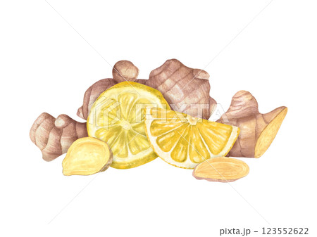 Ginger root heap. Whole and slices ginger. Watercolor illustration illustration of raw seasoning. Natural organic product for recipe, package. For treating colds, strengthening the immune system Ginger root heap. Whole and slices ginger. Watercolor illustration illustration of raw seasoning. Natural organic product for recipe, package. For treating colds, strengthening the immune system 123552622