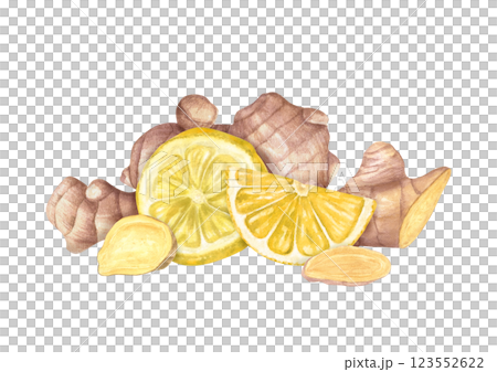 Ginger root heap. Whole and slices ginger. Watercolor illustration illustration of raw seasoning. Natural organic product for recipe, package. For treating colds, strengthening the immune system Ginger root heap. Whole and slices ginger. Watercolor illustration illustration of raw seasoning. Natural organic product for recipe, package. For treating colds, strengthening the immune system 123552622