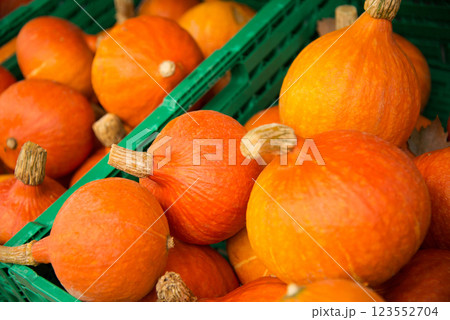 Ripe, bright orange Hokkaido pumpkins also called Red kuri squash for soup during autumn season. Selective focus. 123552704