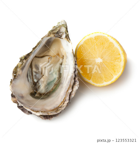 Raw oyster on white background 123553321