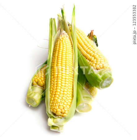 corn cob on white corn cob on white 123553382