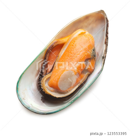 Green shell mussels on white background 123553395