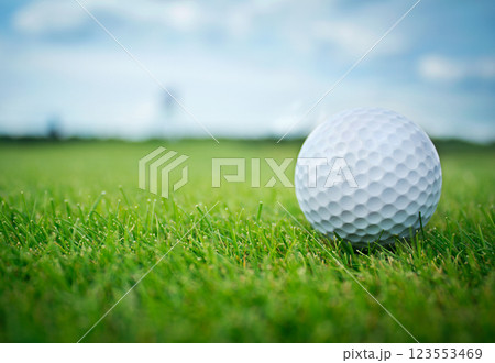 Golf ball on grass Golf ball on grass 123553469