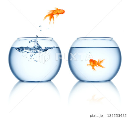 Goldfish jumps out 123553485