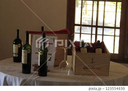 Serving wine and food at a winery at Santa Cruz Chile 123554830