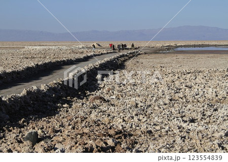 Salar de Atacma Chile 123554839