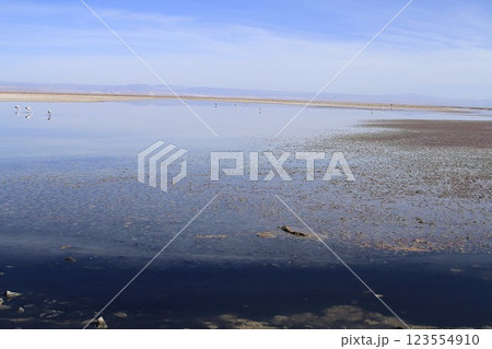 Salar de Atacma Chile Salar de Atacma Chile 123554910
