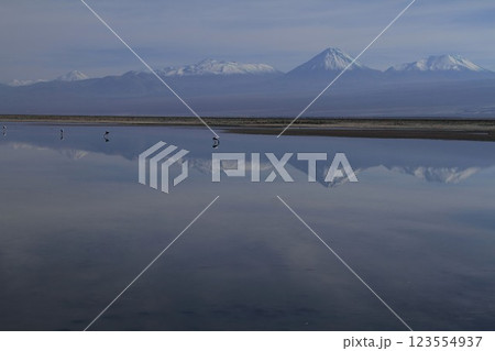 Salar de Atacma Chile Salar de Atacma Chile 123554937