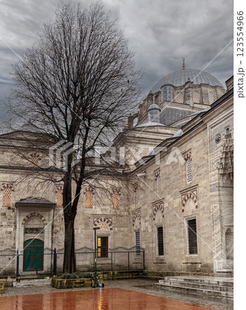 Courtyard of Historic Bayezid II Mosque, Istanbul, Turkey 123554966