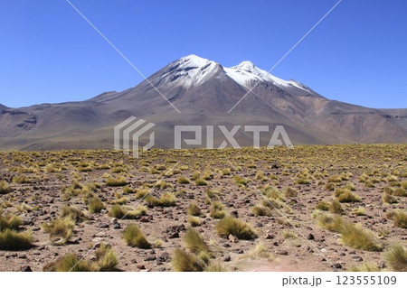 Salar de Atacma Chile Salar de Atacma Chile 123555109