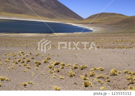 Salar de Atacma Chile 123555152