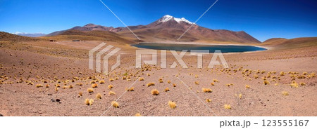 Salar de Atacma Chile 123555167