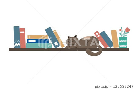 Book shelves. Books, cat and tea on the rack. Interior design. Vector flat illustration. 123555247