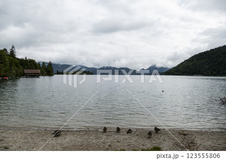 Lake Kochelsee, Kochel am See, Bavaria, Germany 123555806