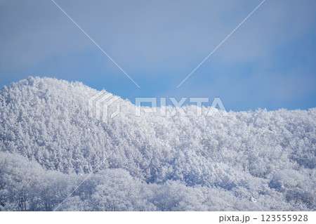 青空に映える雪山 123555928