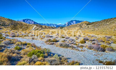 Aerial of Nevada Desert Path with Snow-Capped Mountains 123557012