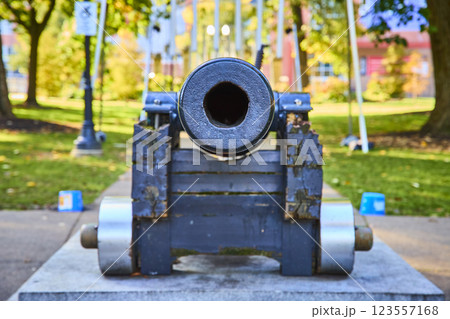 Historic Cannon in Lush Park Setting Eye Level Perspective Historic Cannon in Lush Park Setting Eye Level Perspective 123557168