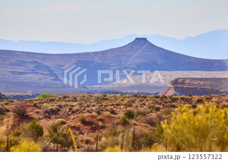 Mesa and Desert Landscape at Zion National Park Eye-Level View Mesa and Desert Landscape at Zion National Park Eye-Level View 123557322