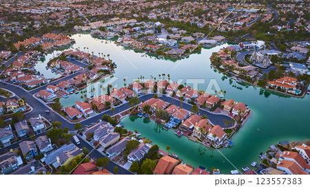 Aerial Suburban Waterfront Homes with Palm Trees in Las Vegas Serenity 123557383