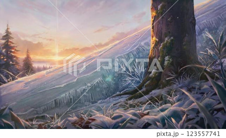 朝日に照らされる雪の森、木の根元からのローアングルショット 朝日に照らされる雪の森、木の根元からのローアングルショット 123557741