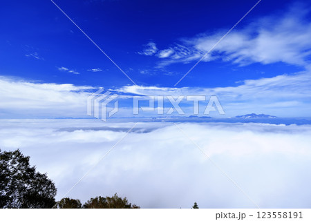 志賀高原　雲海 123558191