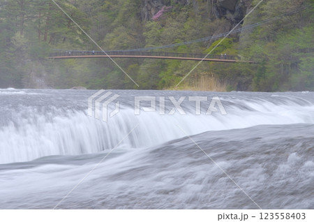 春の吹割の滝 123558403