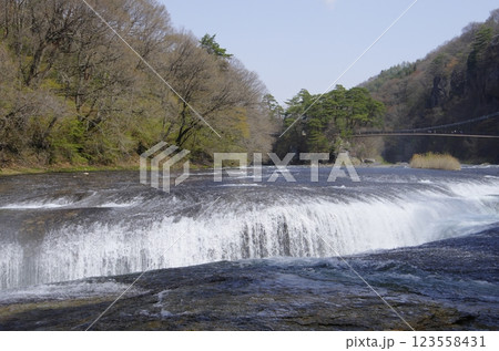 春の吹割の滝 123558431